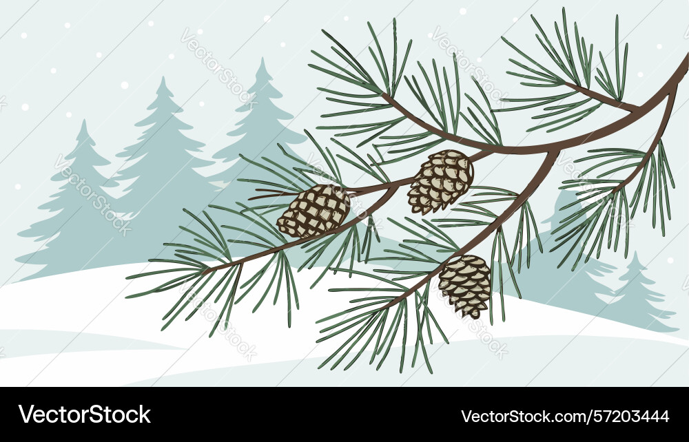 Pine tree branch with cones and snow design vector image