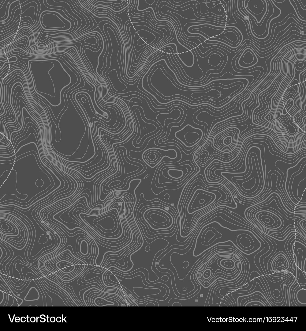 Seamless pattern topographic map background vector image