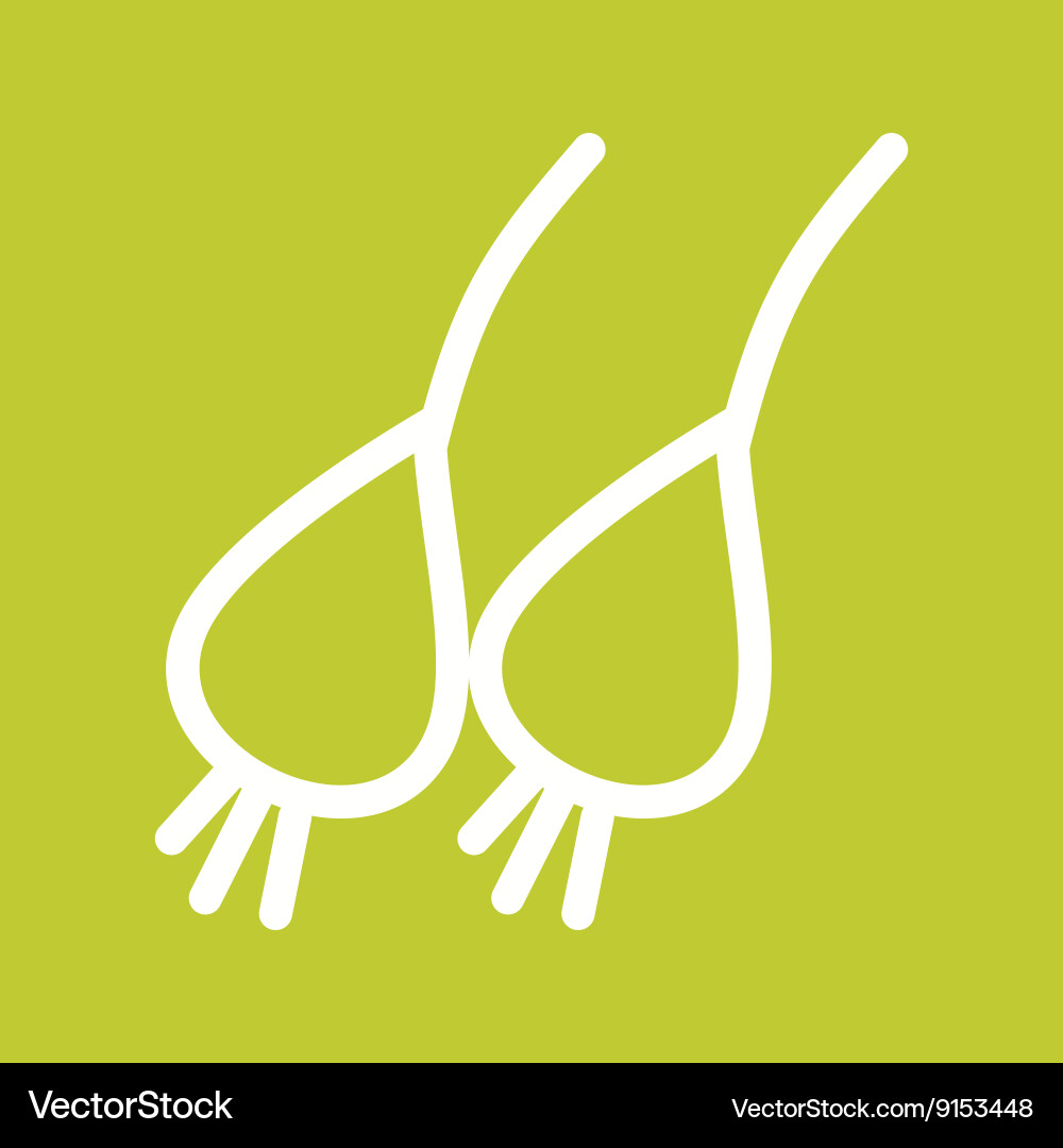 Spring onion vector image