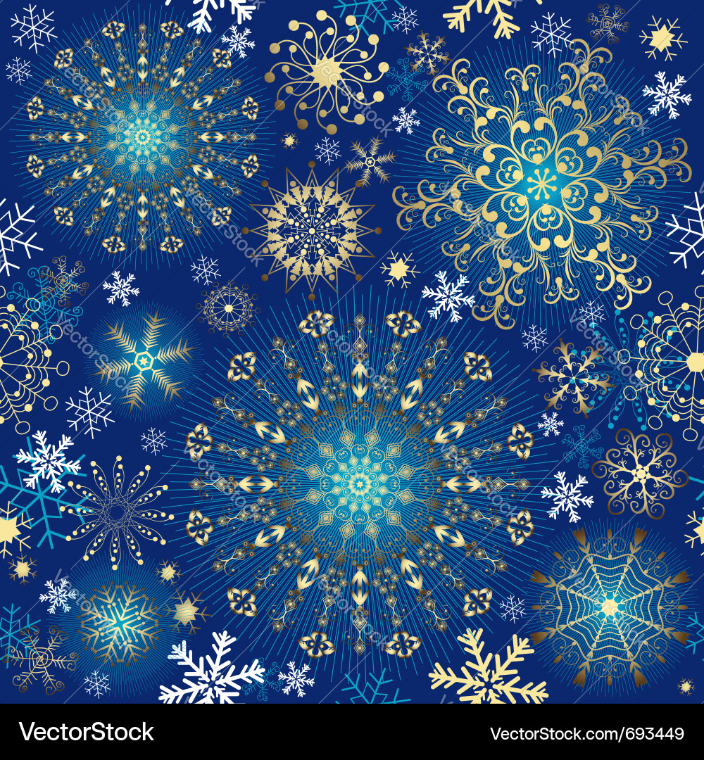 Winter Snowflake Pattern Vector Image