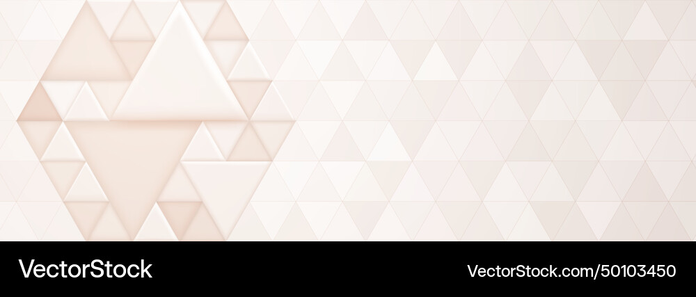 Abstract background with triangular shapes vector image