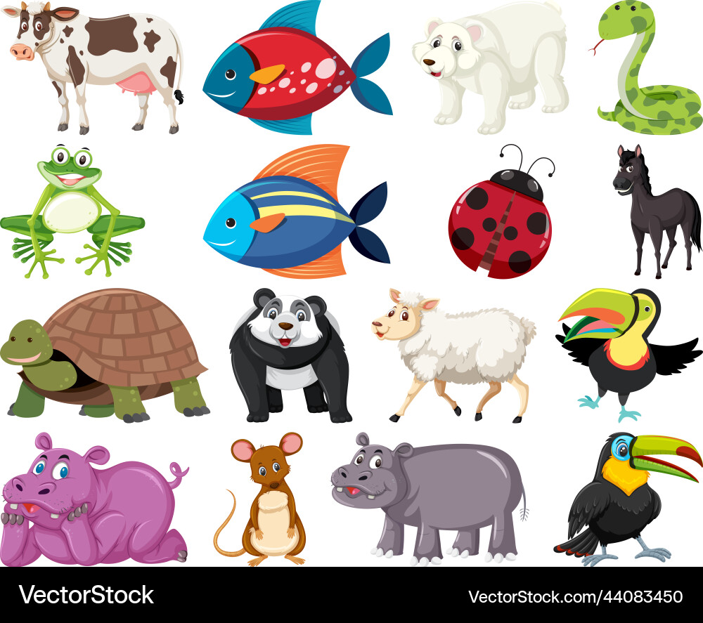 Cartoon Animal Set Vector Image