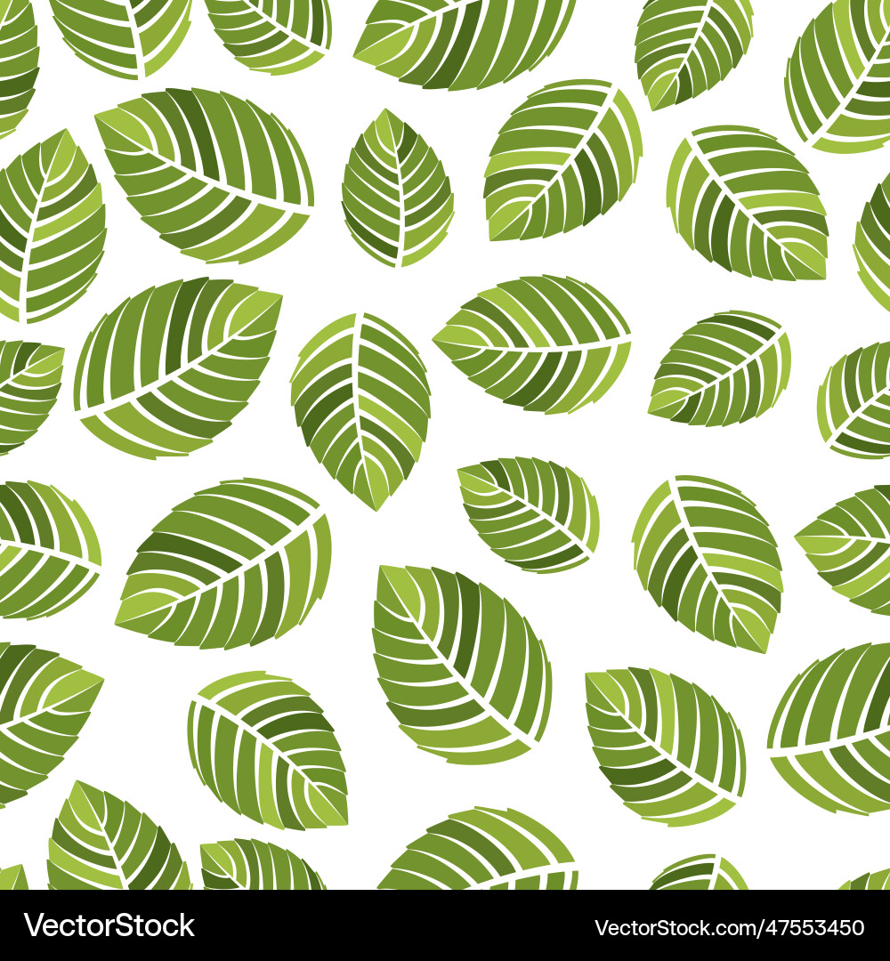 Mint seamless texture peppermint menthol leaves Mint seamless texture peppermint menthol leaves vector image
