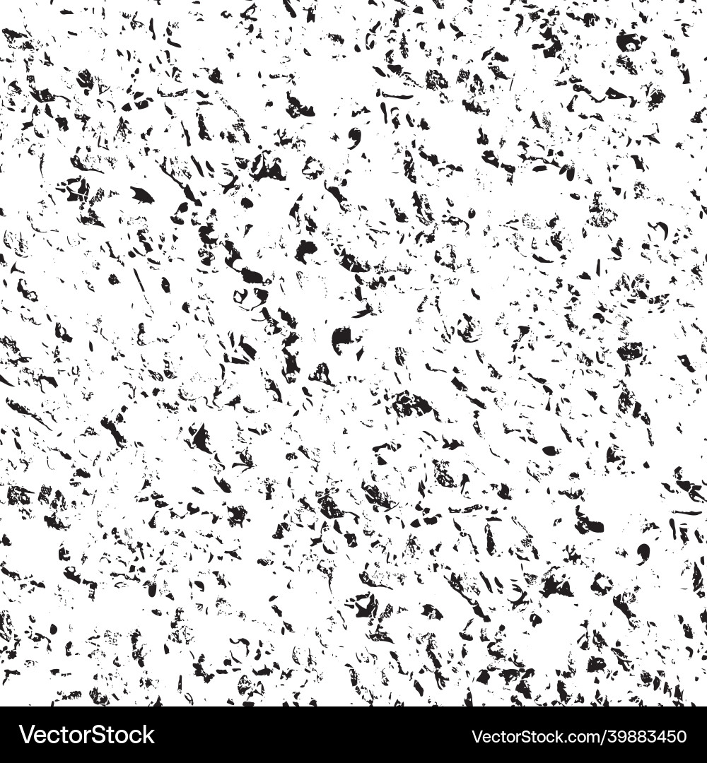 Rough Stone Texture Pattern vector image