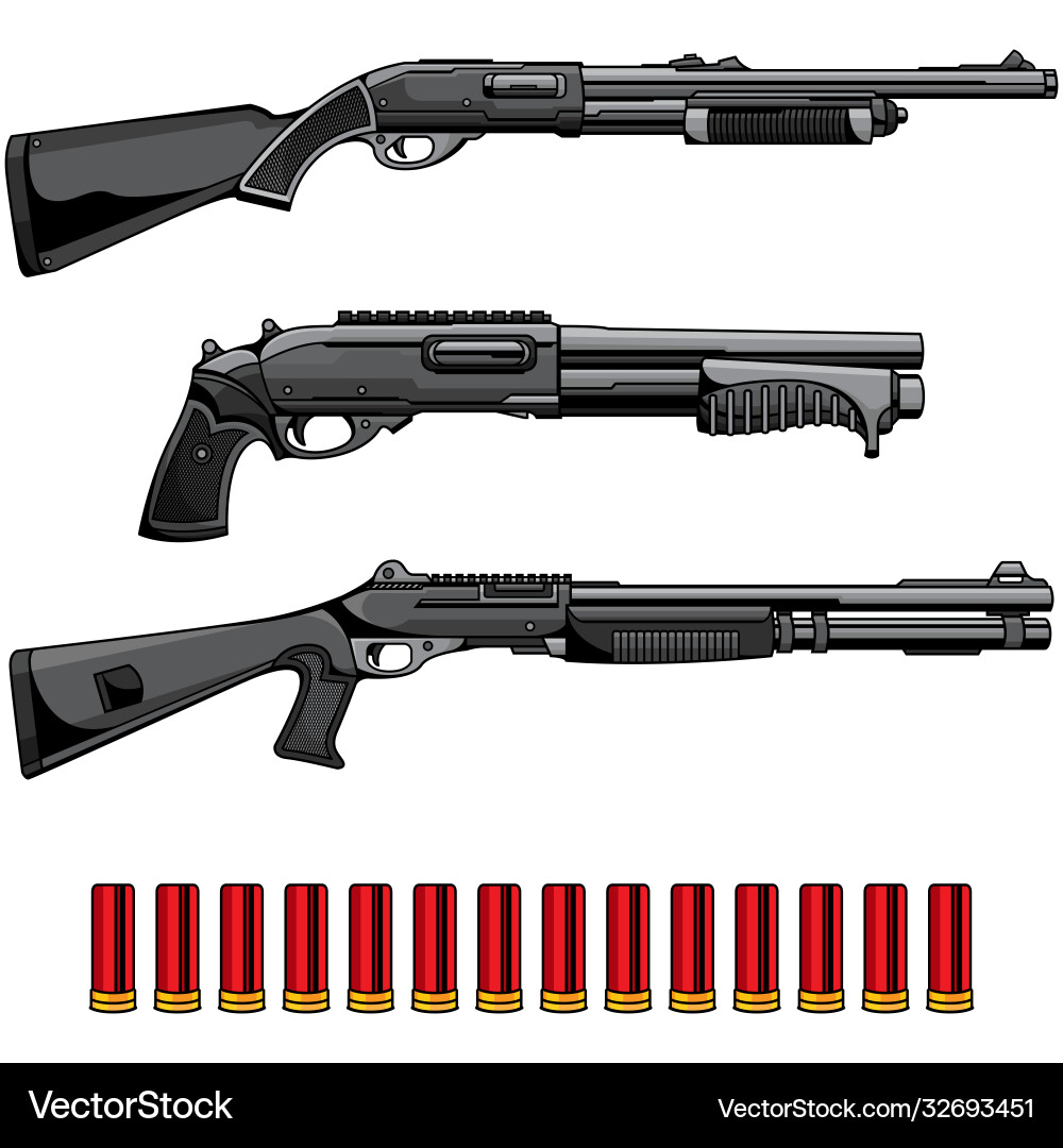 Set shotgun Royalty Free Vector Image - VectorStock
