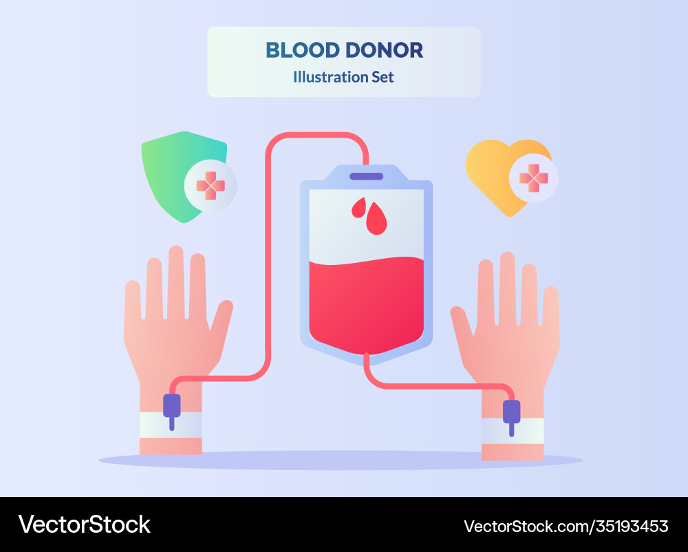 Blood donor set drawn hand into pouch flows Blood donor set drawn hand into pouch flows vector image