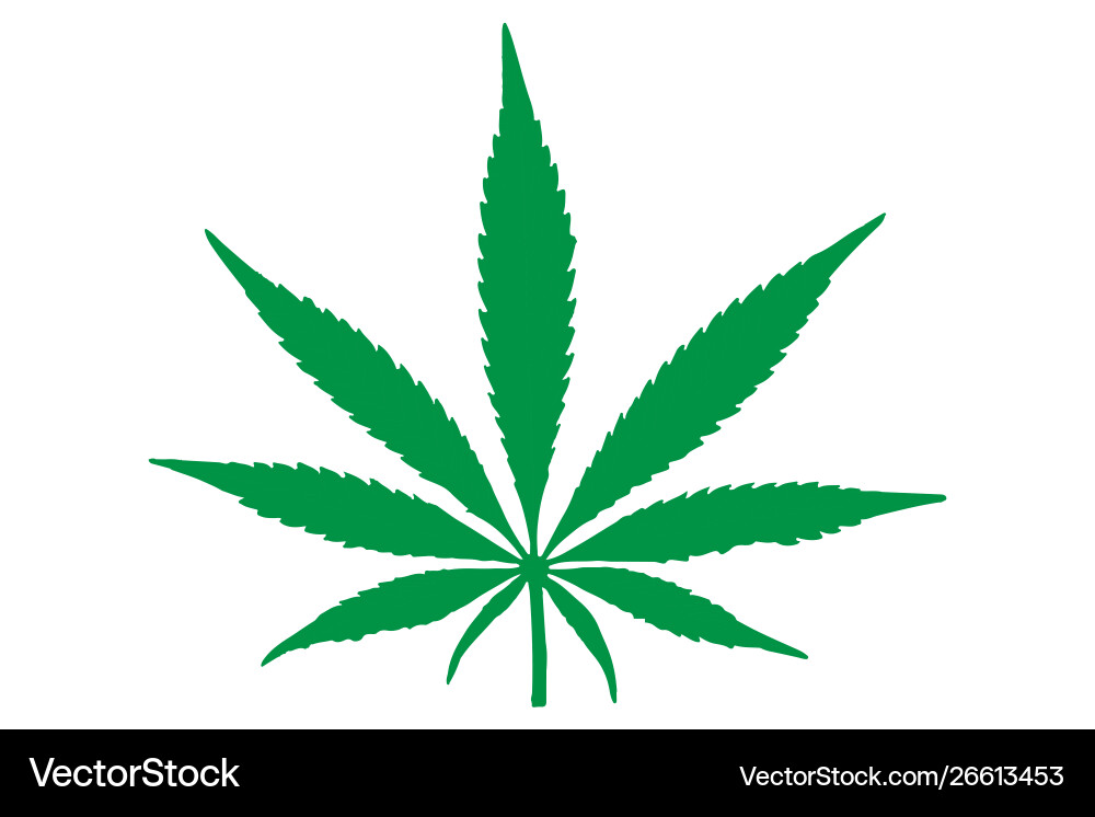 Cannabis Blatt Icon Cannabis Blatt Icon vektorbild