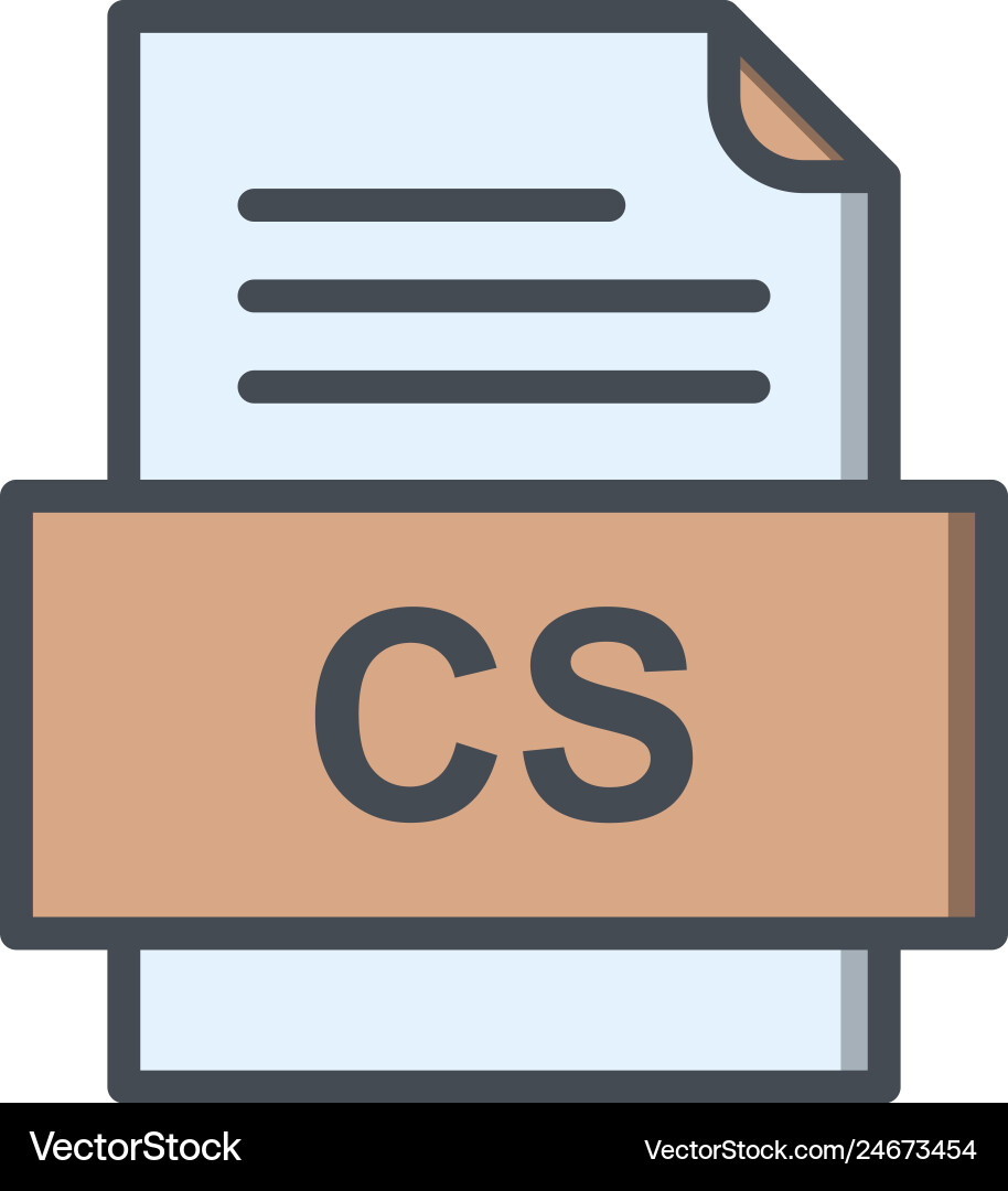 Cs file document icon vector image
