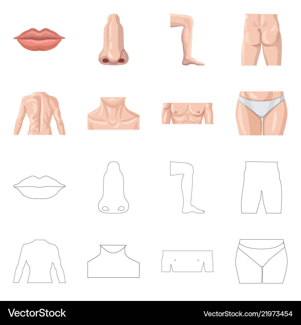 Isolated object of human and part icon collection Isolated object of human and part icon collection vector image