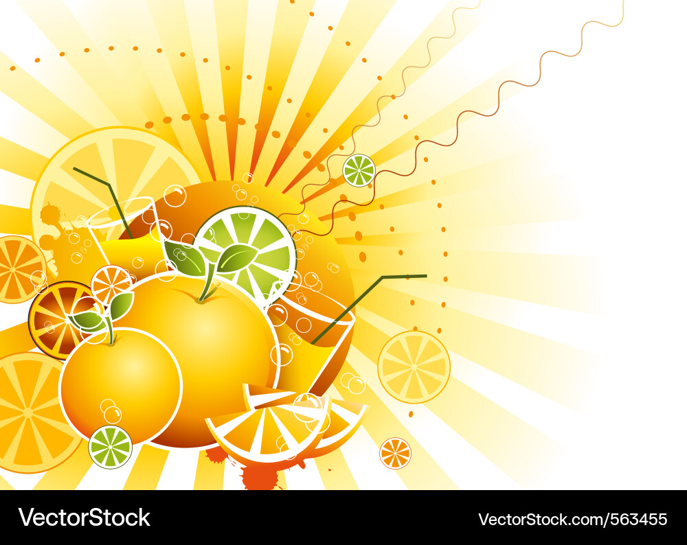 Citrus Fruit Splash Background Vector Image