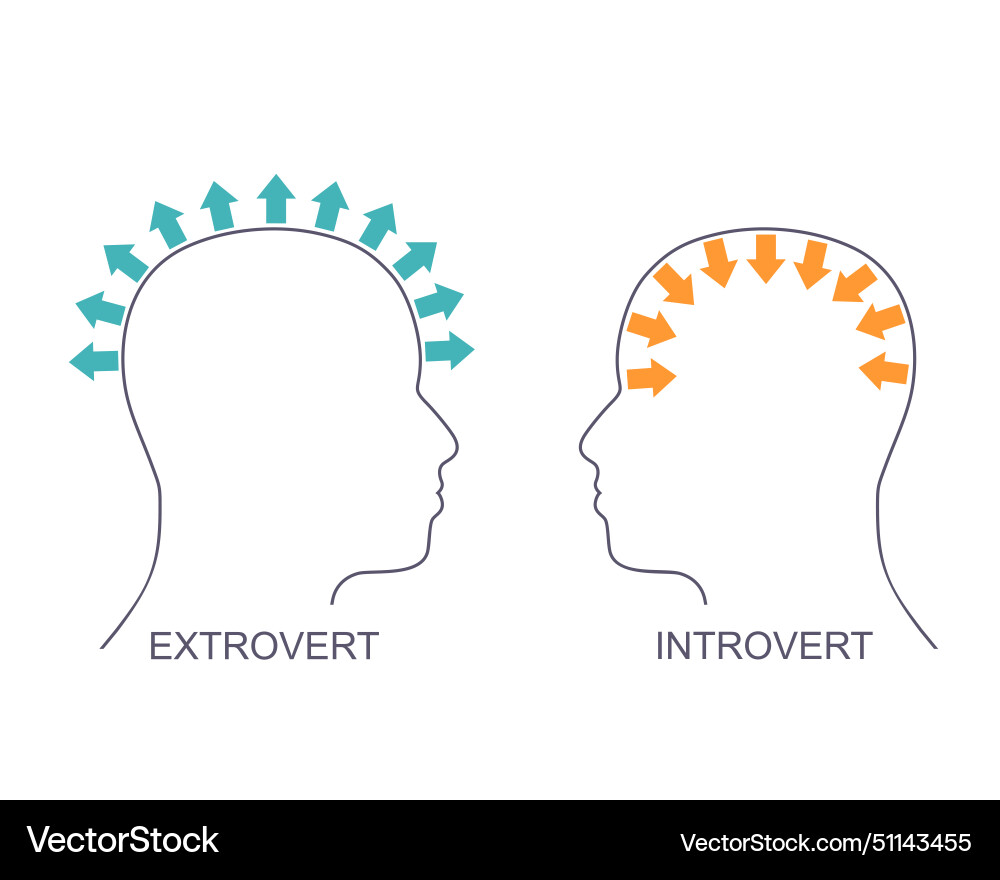 Introvert and extrovert comparison human heads Vector Image
