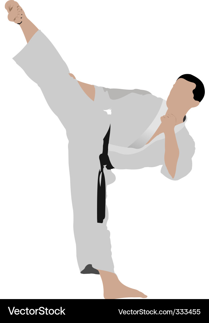 Karate Athleten Silhouette vektorbild