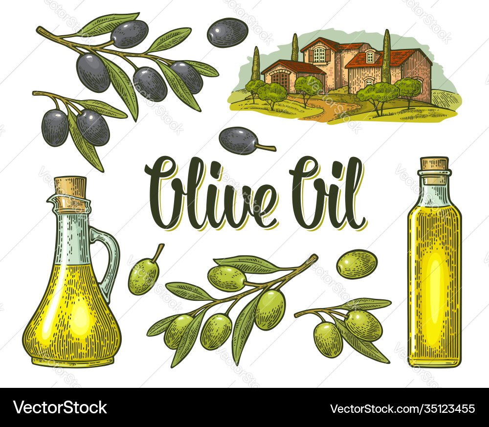 Set Olivenflasche Glaszweig mit Blättern ländliche Set Olivenflasche Glaszweig mit Blättern ländliche vektorbild
