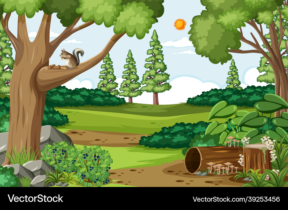 Empty scene with various trees in the forest Empty scene with various trees in the forest vector image