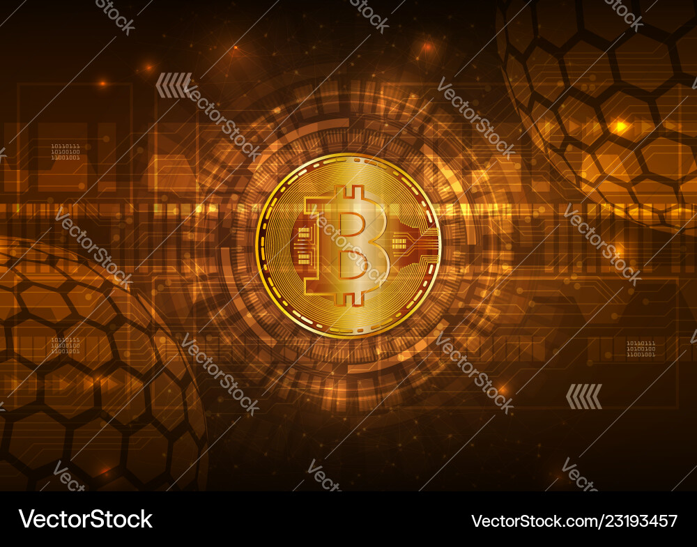 Bitcoin Digital Currency Network vector image