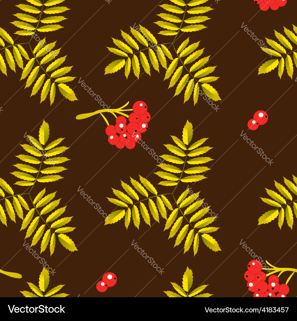 Seamless background with rowan Vector Image