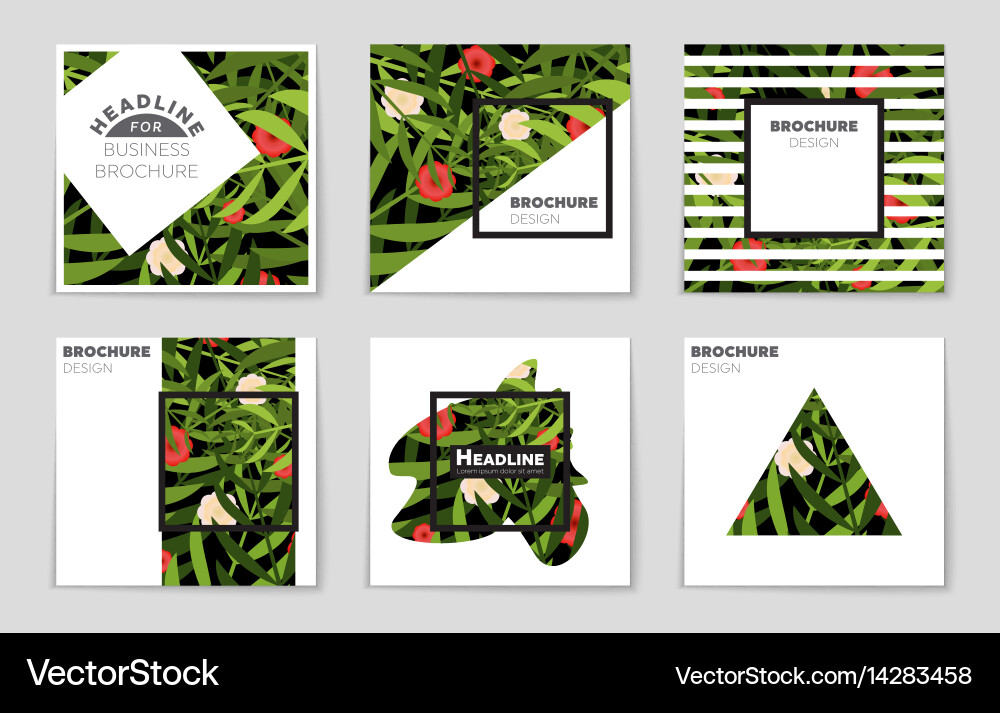 Abstract layout background set for art vector image