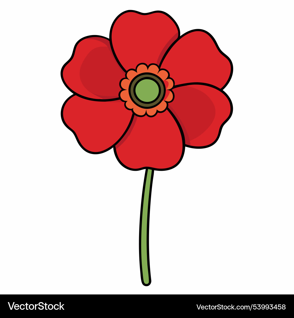 Poppy flower in a row simple design isolated Vector Image