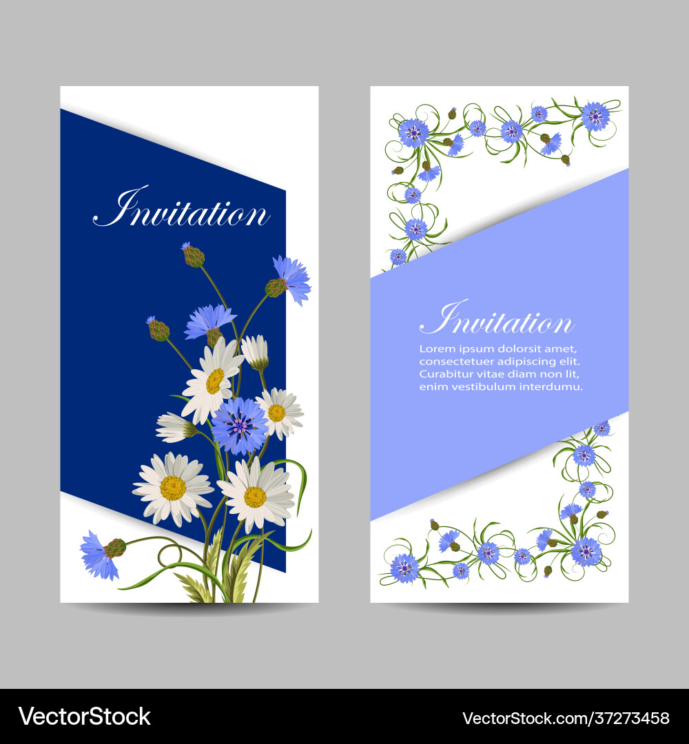 Set vertical banners with beautiful flowers Set vertical banners with beautiful flowers vector image