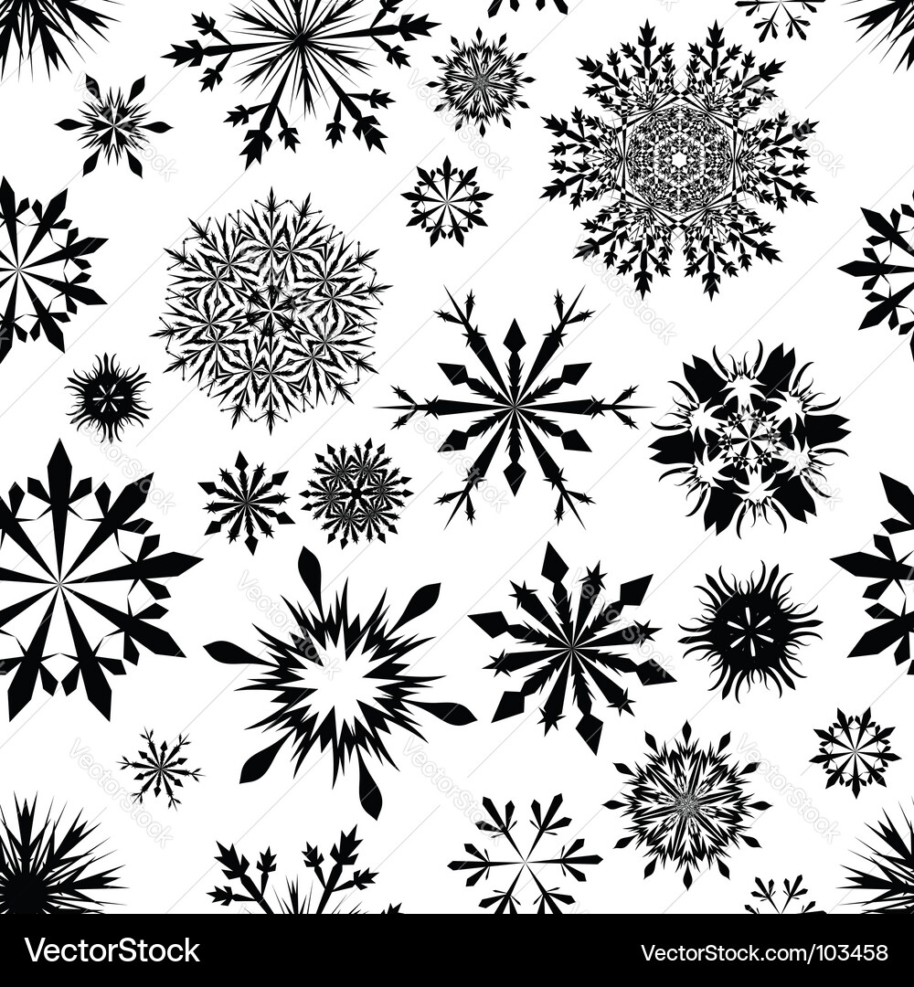 Winter Snowflake Pattern vector image