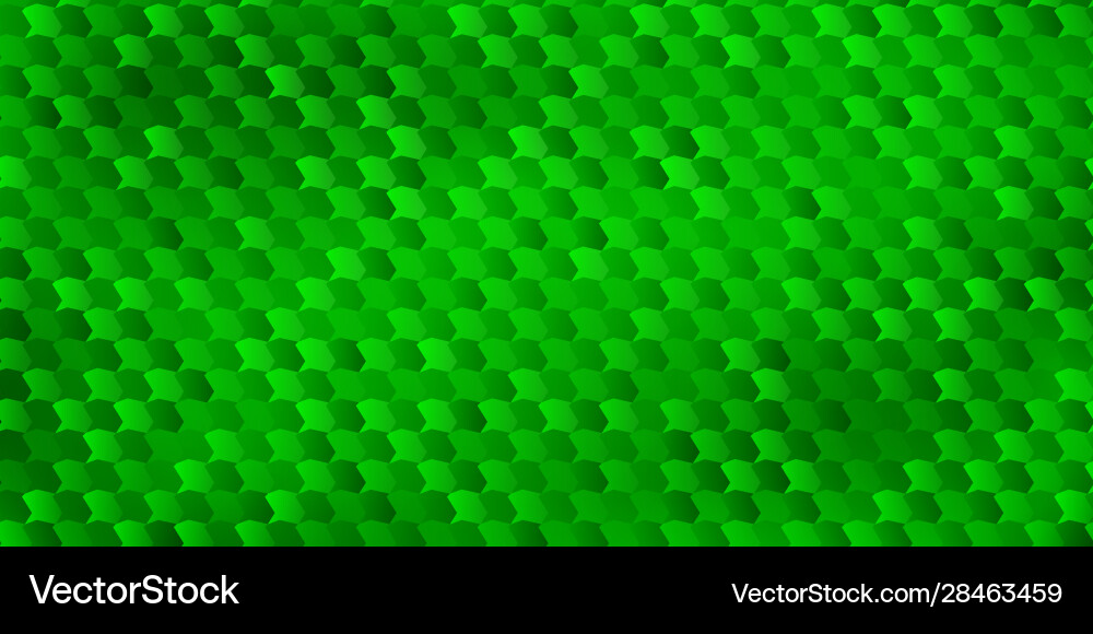 Abstract background polygons fitted to each Vector Image