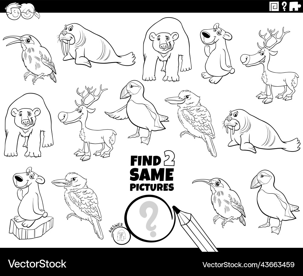Find two same animal characters task coloring page Vector Image