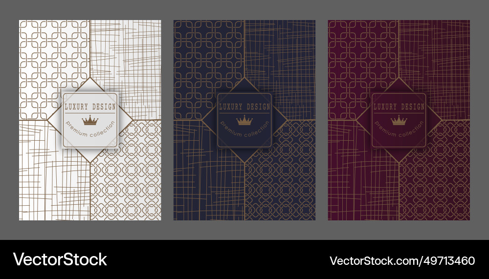 A luxurious pattern set of spectacular patterns A luxurious pattern set of spectacular patterns vector image