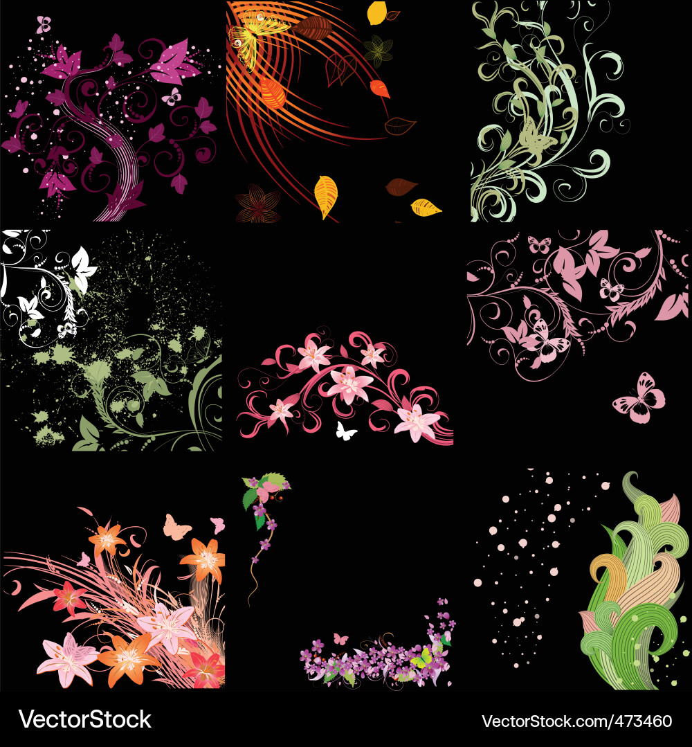Floral Swirl Patterns vector image