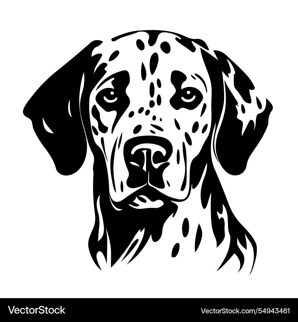 Dalmatien Hundekopf Haustier Dalmatien Hundekopf Haustier vektorbild