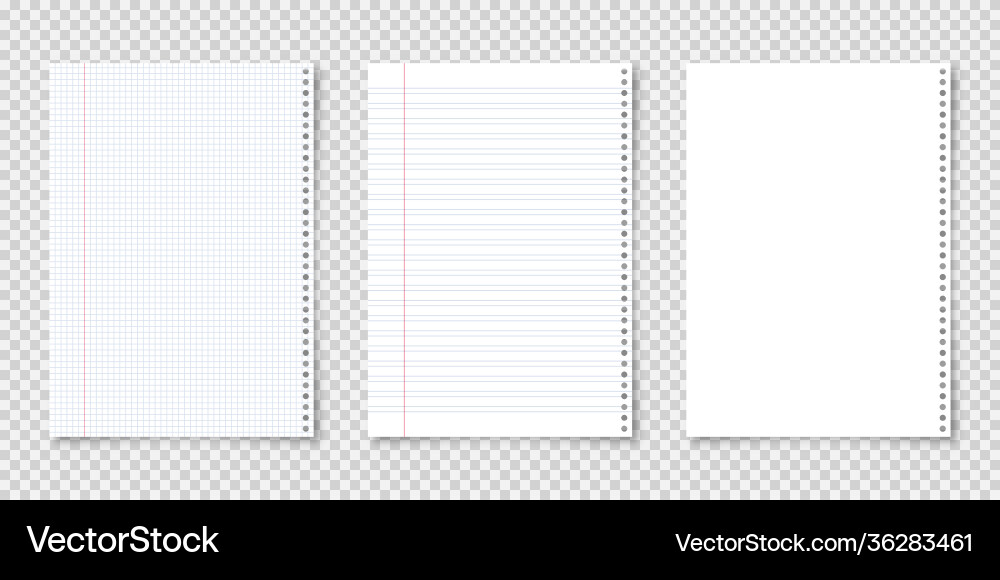 Realistic blank lined paper sheets in a4 format Realistic blank lined paper sheets in a4 format vector image