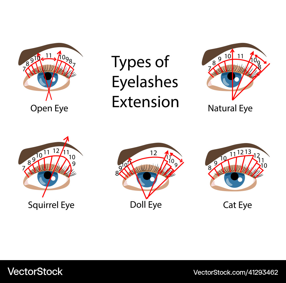 Eyelash extension types and forms for beuty Eyelash extension types and forms for beuty vector image