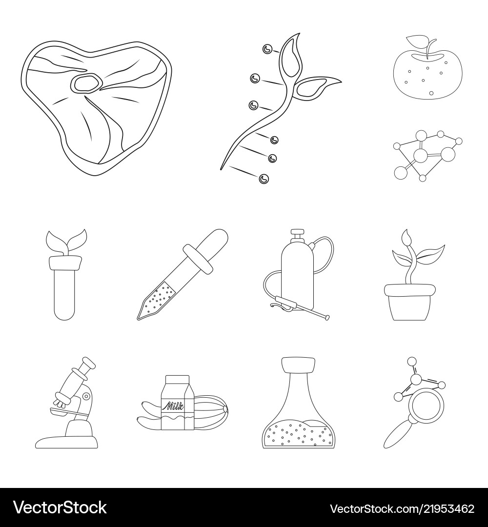 Isolated object of and icon set s Isolated object of and icon set s vector image