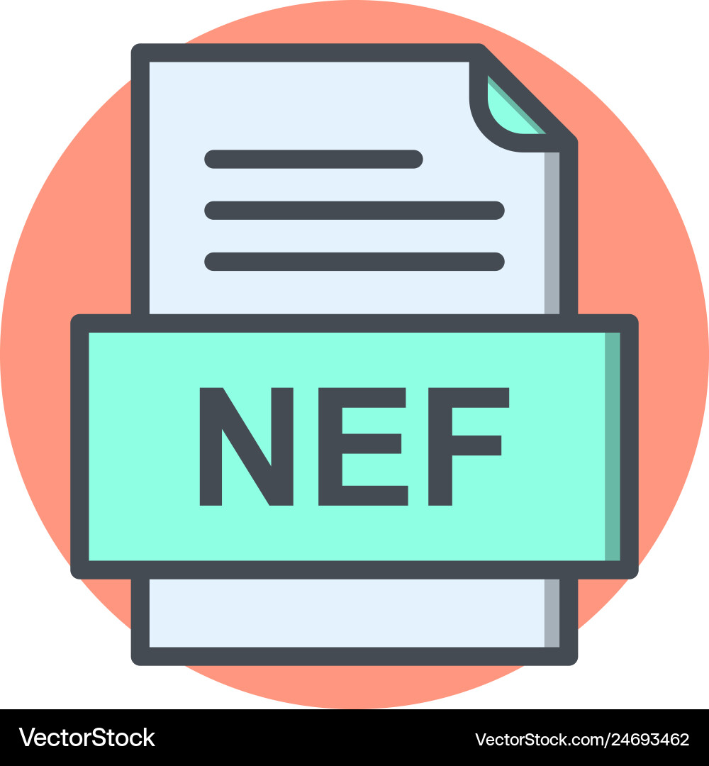 Nef file document icon Vector Image