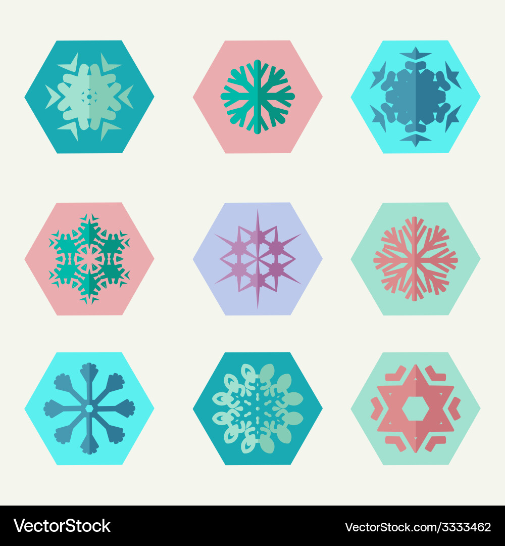 Set of different snowflakes icons Vector Image