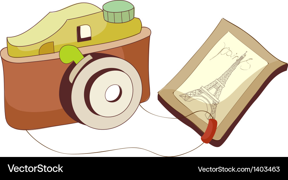 A view of camera vector image