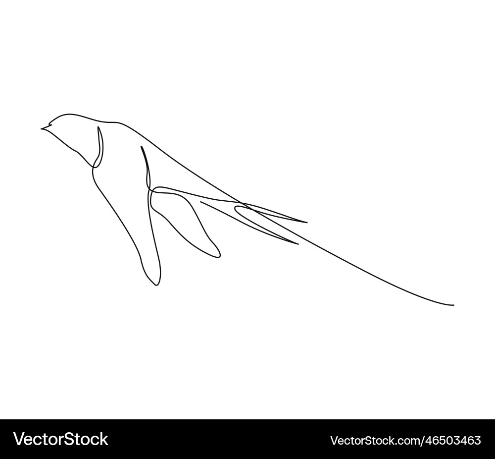 Continuous one line drawing of flying swallow Continuous one line drawing of flying swallow Vector Image