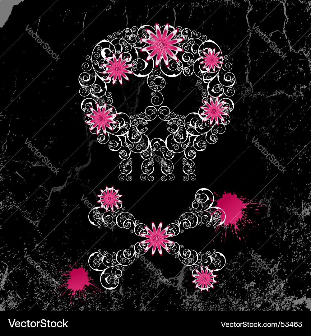 Floral Skull Grunge Background vector image
