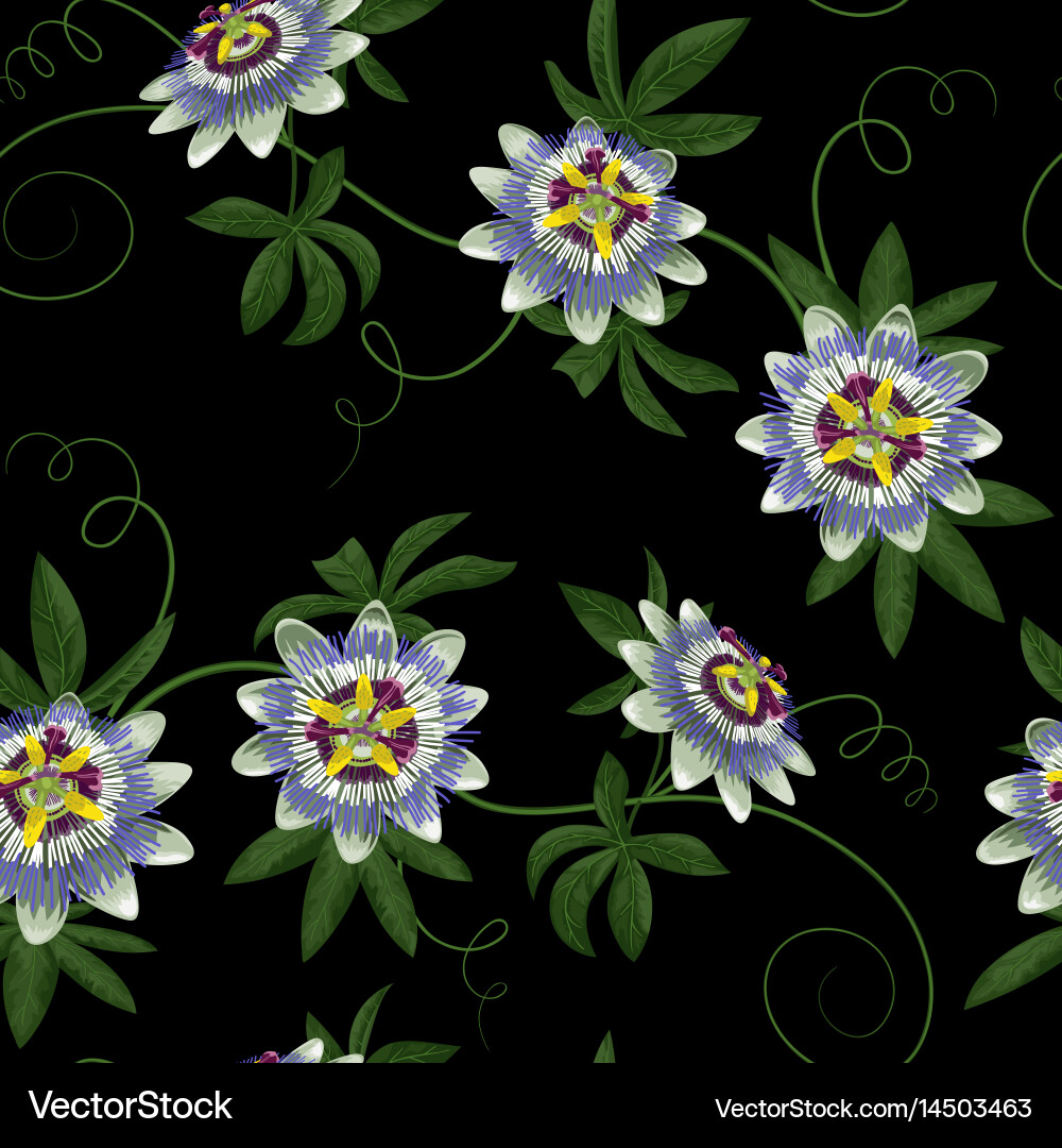 Passiflora seamless pattern Vector Image