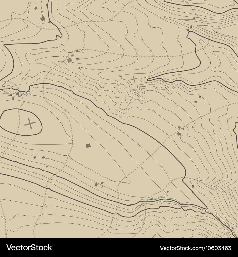 Topographic map background concept with space vector image