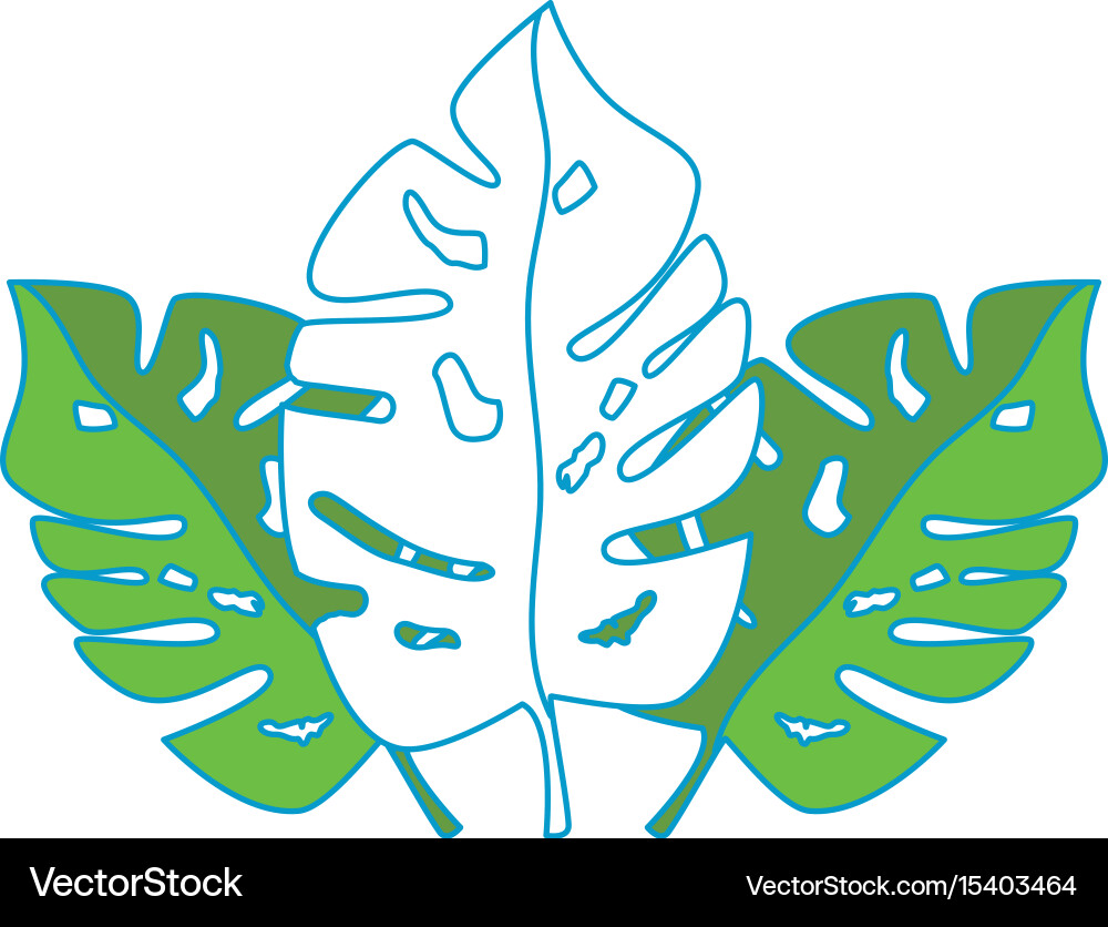 Isolated sheets tree vector image