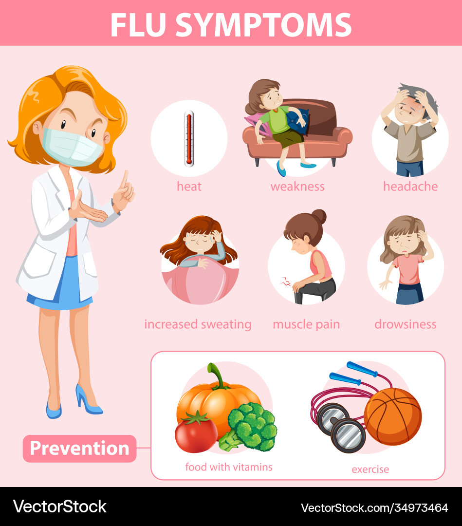 Medical infographic flu symptoms and prevention Medical infographic flu symptoms and prevention vector image