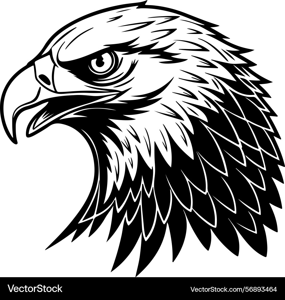 Minimal owl face with intense sharp expression Vector Image