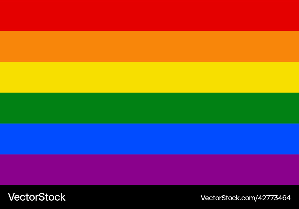 Rainbow flag accurate dimensions element Vector Image
