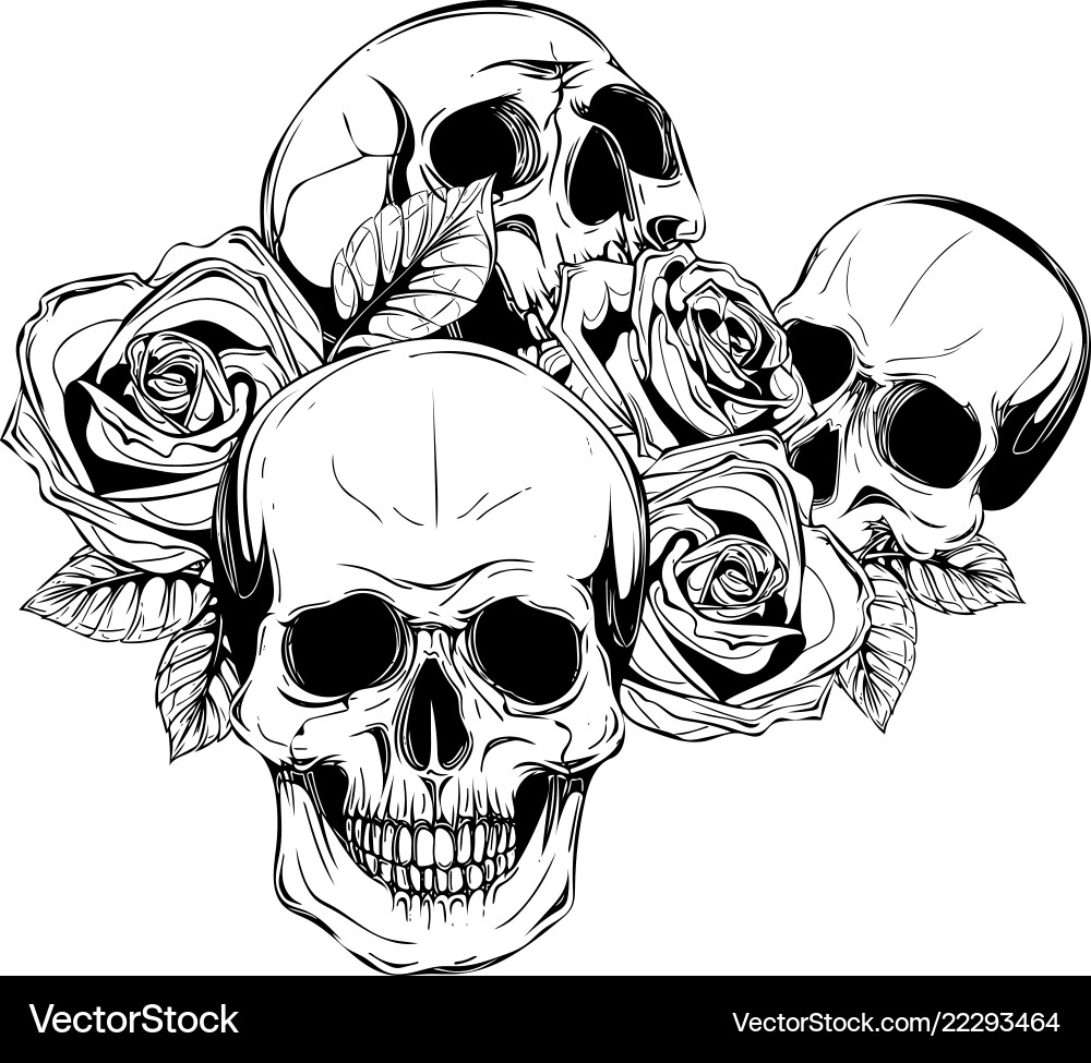 Skulls with Roses - A Symbol of Mortality vector image