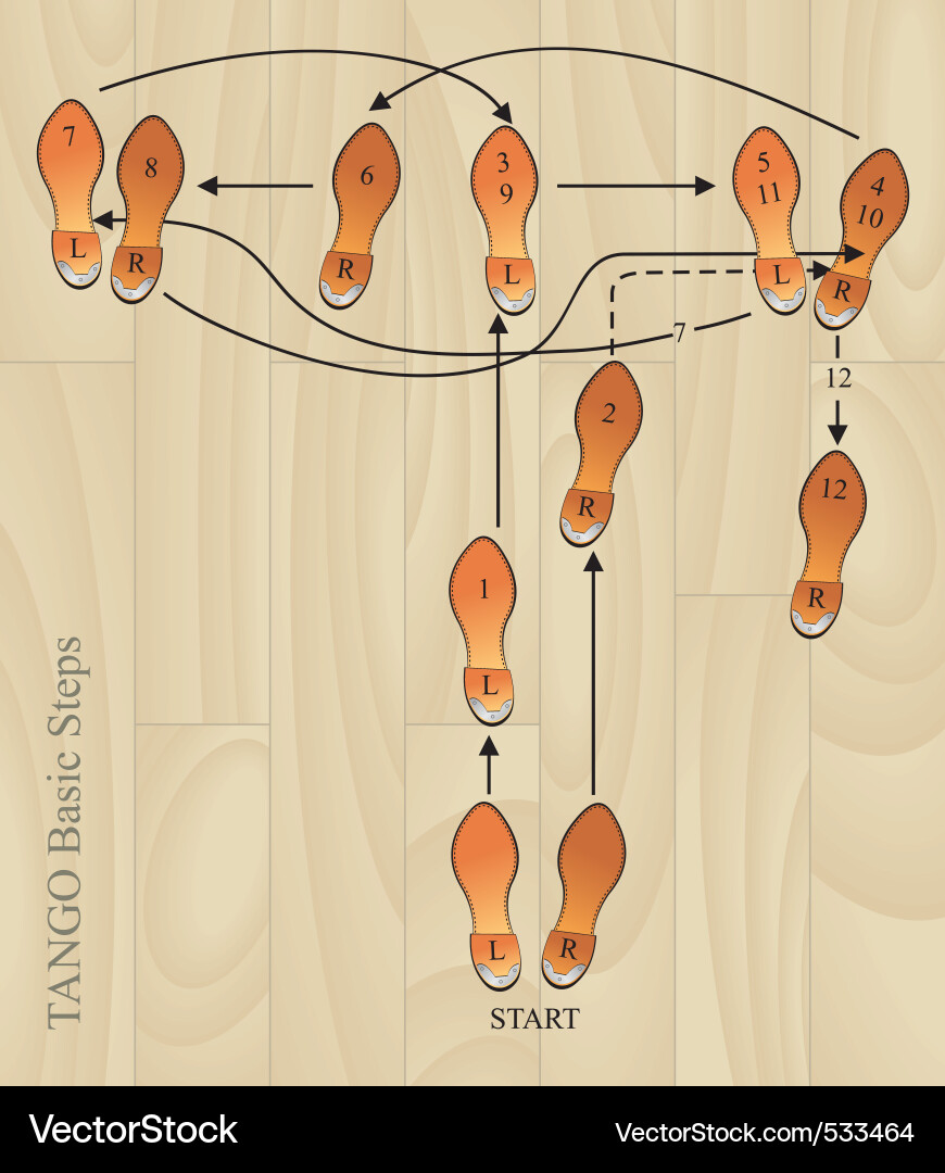 Tango Basic Steps Diagram Vector Image