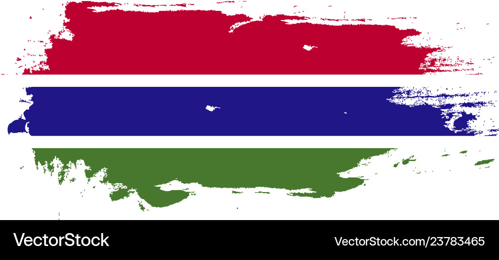 Gambia Flag Grunge Brushstroke Vector Image