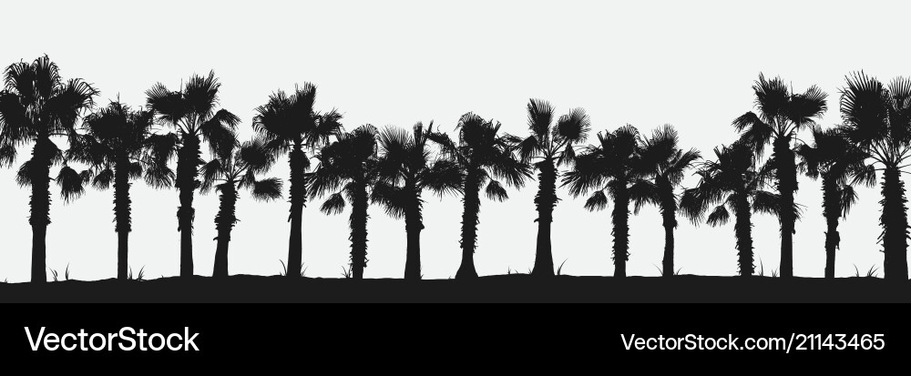Palm trees Royalty Free Vector Image - VectorStock