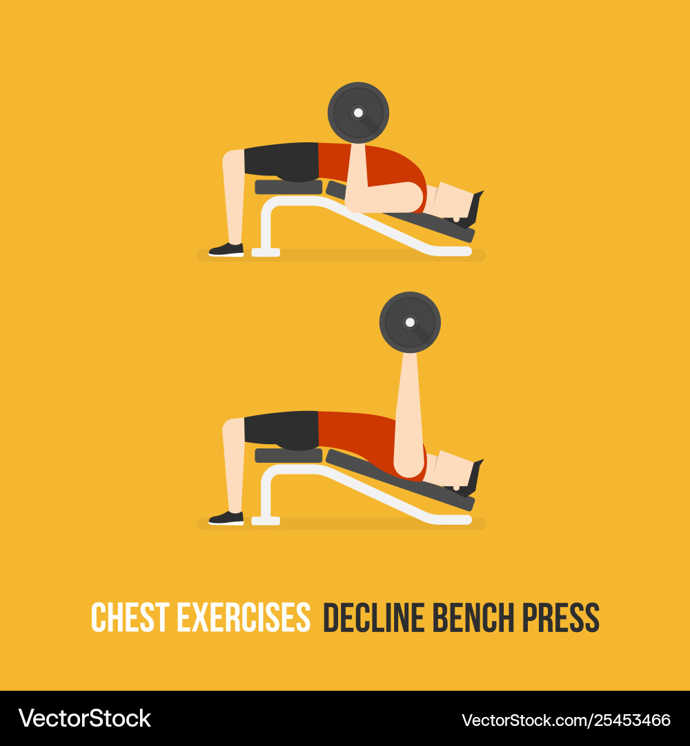 Chest exercises decline bench press vector image