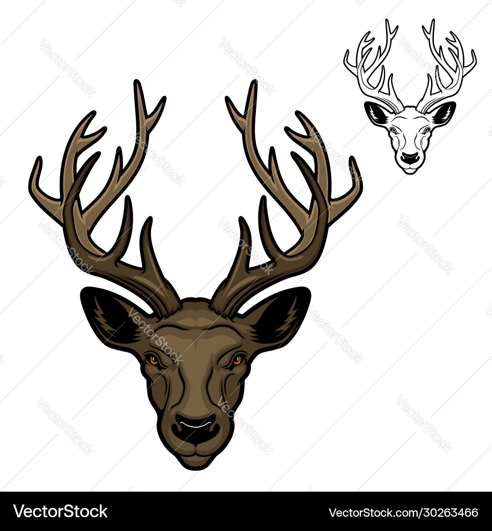 Deer animal head with antlers mascot Vector Image