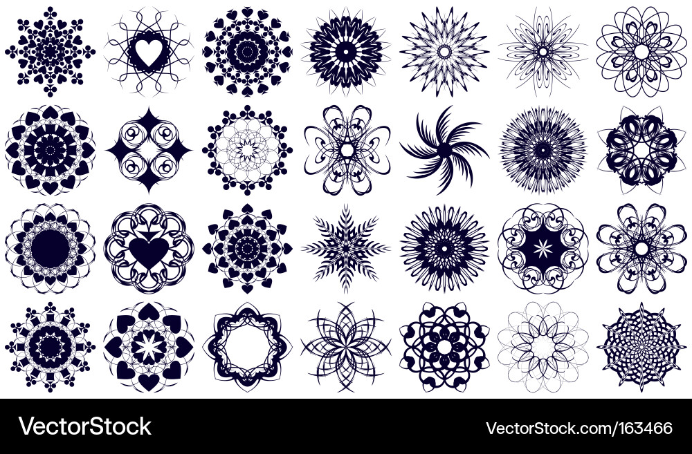 Intricate Floral Patterns Vector Image